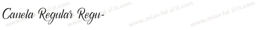 Canela Regular Regu字体转换